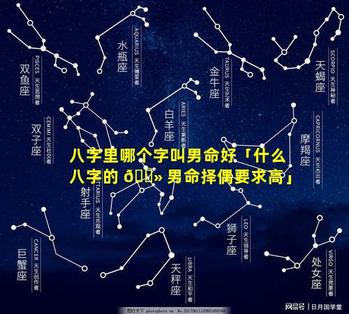 八字里哪个字叫男命好「什么八字的 🌻 男命择偶要求高」